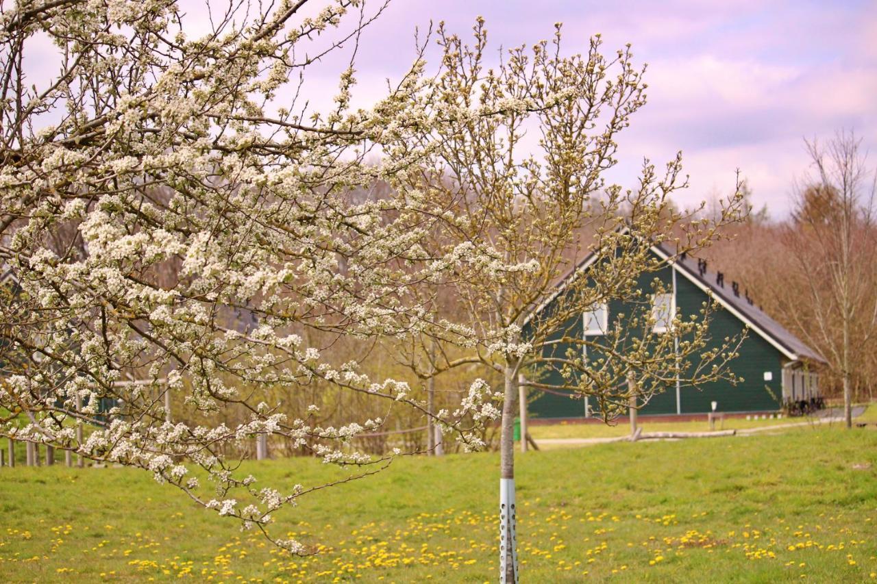 Horsetellerie Rheezerveen Hardenberg Luaran gambar
