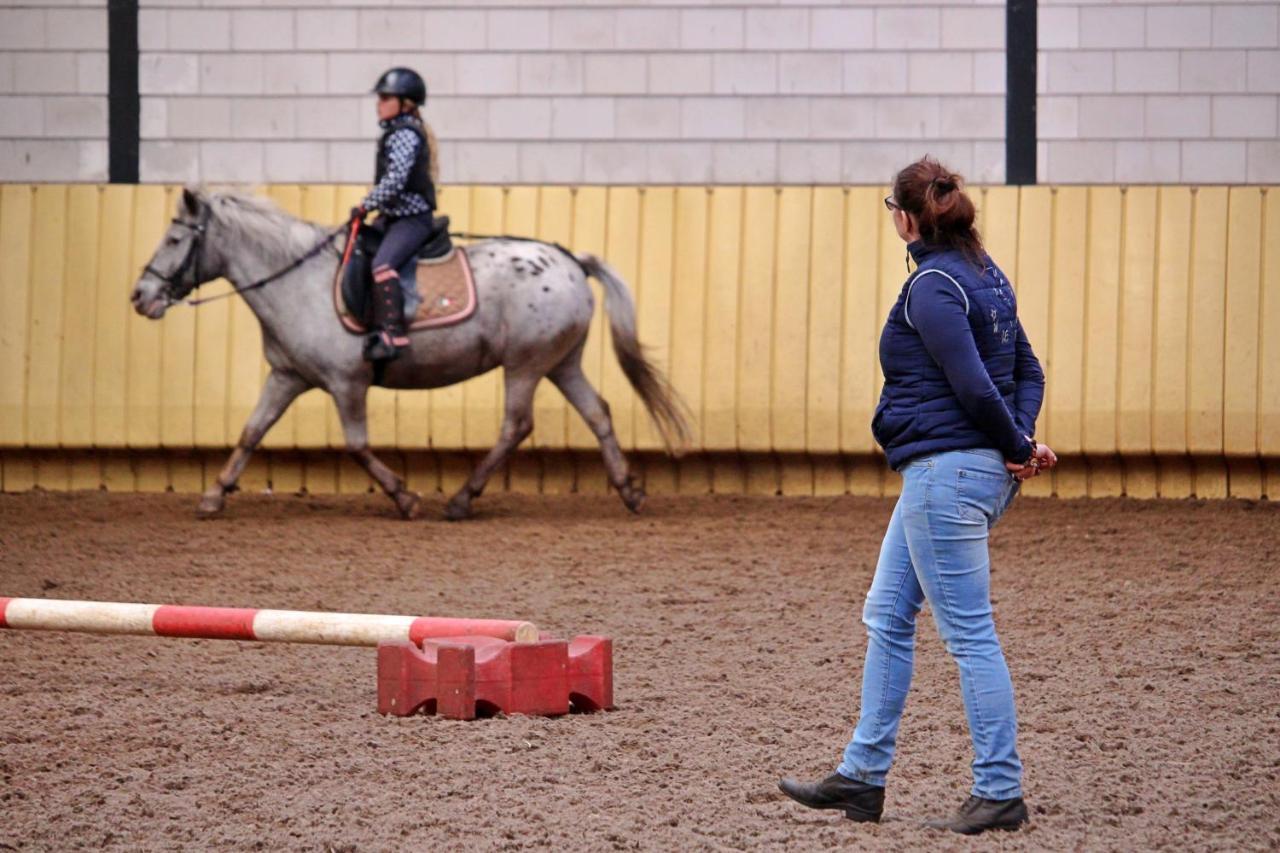 Horsetellerie Rheezerveen Hardenberg Luaran gambar