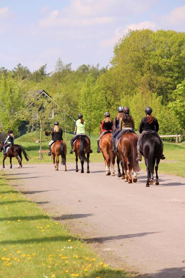 Horsetellerie Rheezerveen Hardenberg Luaran gambar