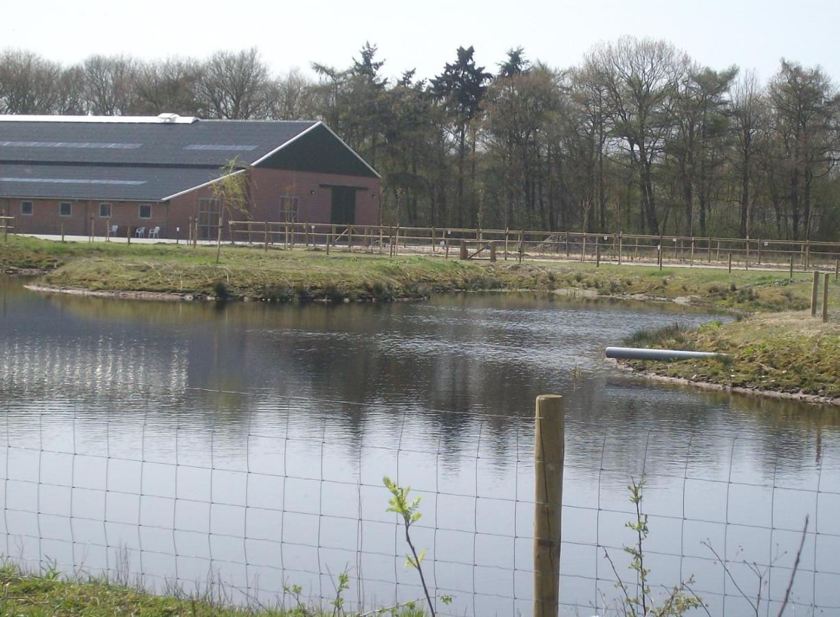 Horsetellerie Rheezerveen Hardenberg Luaran gambar