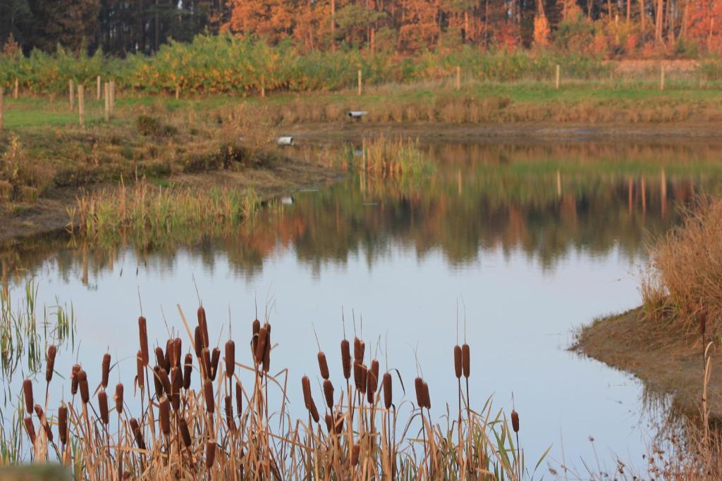 Horsetellerie Rheezerveen Hardenberg Bilik gambar